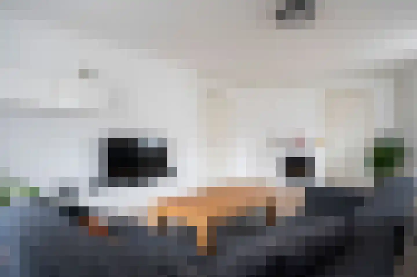 Rijksweg 1 Margraten thumbnail 19