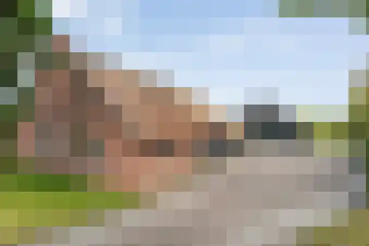 Rijksweg 1 Uffelte