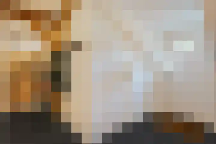 Rijksweg 1 Uffelte thumbnail 16