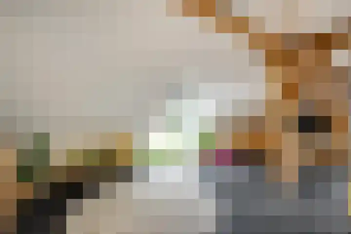 Rijksweg 1 Uffelte thumbnail 27