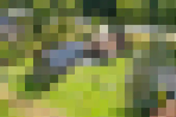 Rijksweg 1 Uffelte foto 3