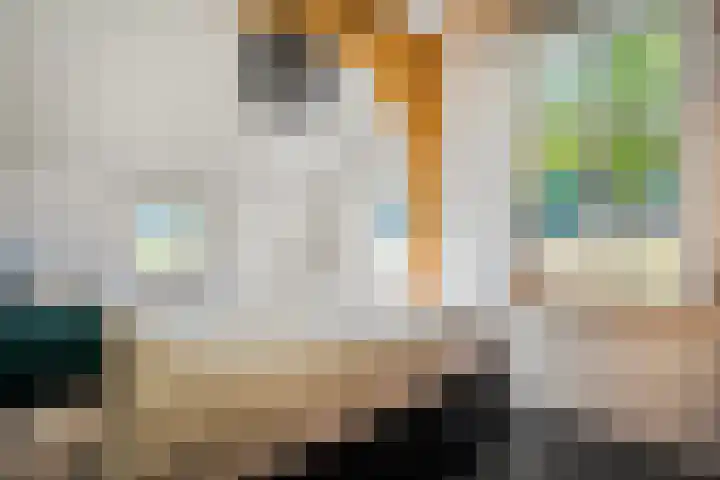 Rijksweg 1 Uffelte thumbnail 34