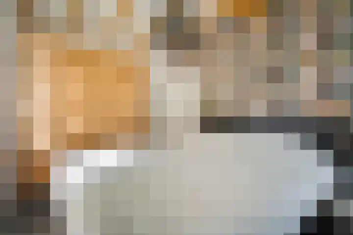 Rijksweg 1 Uffelte thumbnail 35