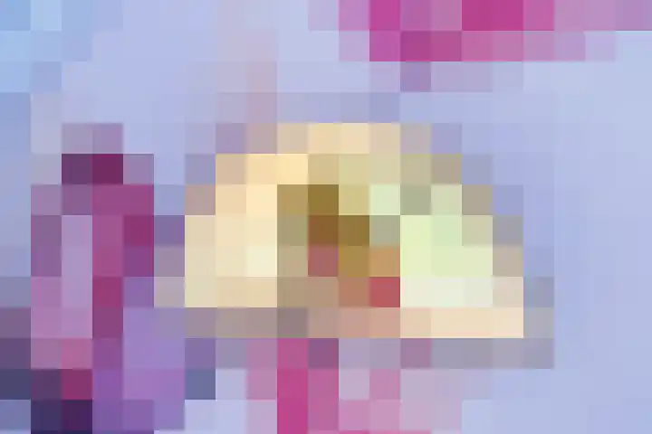 Rijksweg 1 Uffelte thumbnail 42