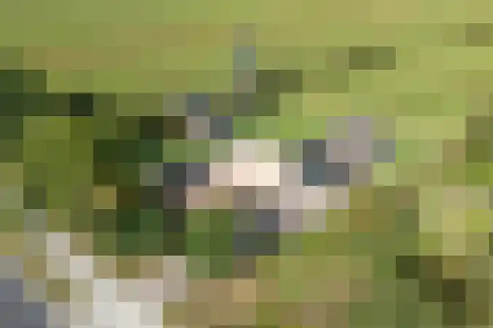 Rijksweg 1 Uffelte thumbnail 6