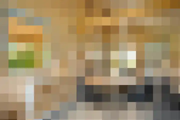 Rijksweg 1 Uffelte thumbnail 68