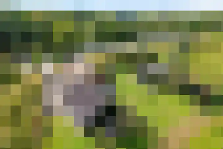 Rijksweg 1 Uffelte thumbnail 7