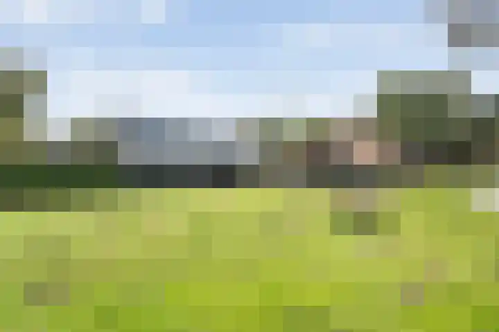Rijksweg 1 Uffelte thumbnail 70