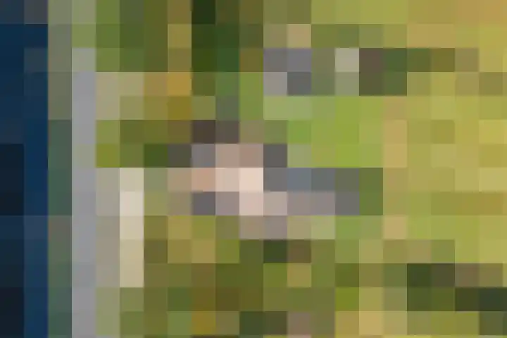 Rijksweg 1 Uffelte thumbnail 73