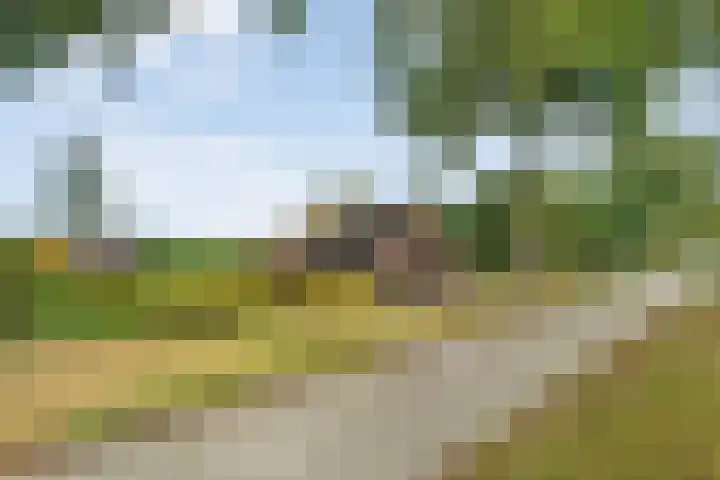 Rijksweg 1 Uffelte thumbnail 8