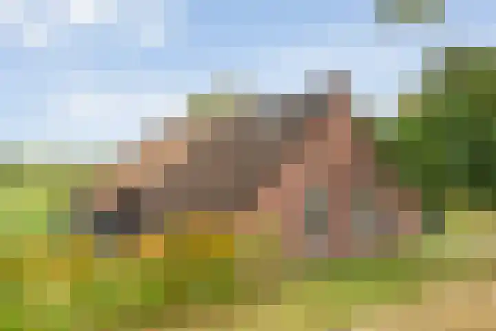 Rijksweg 1 Uffelte thumbnail 9