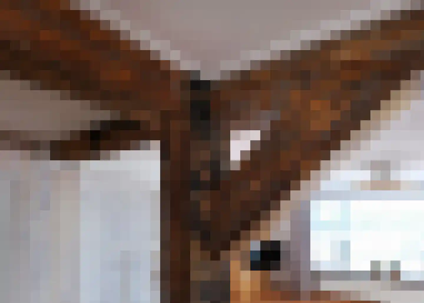 Rijksweg 10 Burgerbrug thumbnail 10