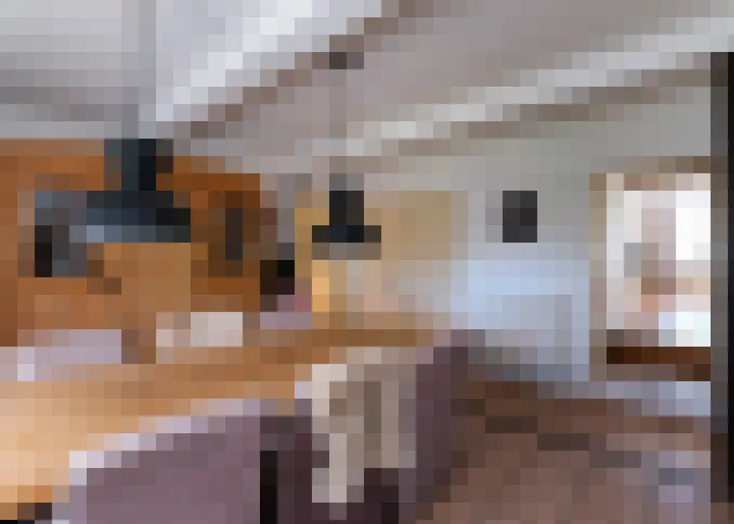 Rijksweg 10 Burgerbrug thumbnail 12