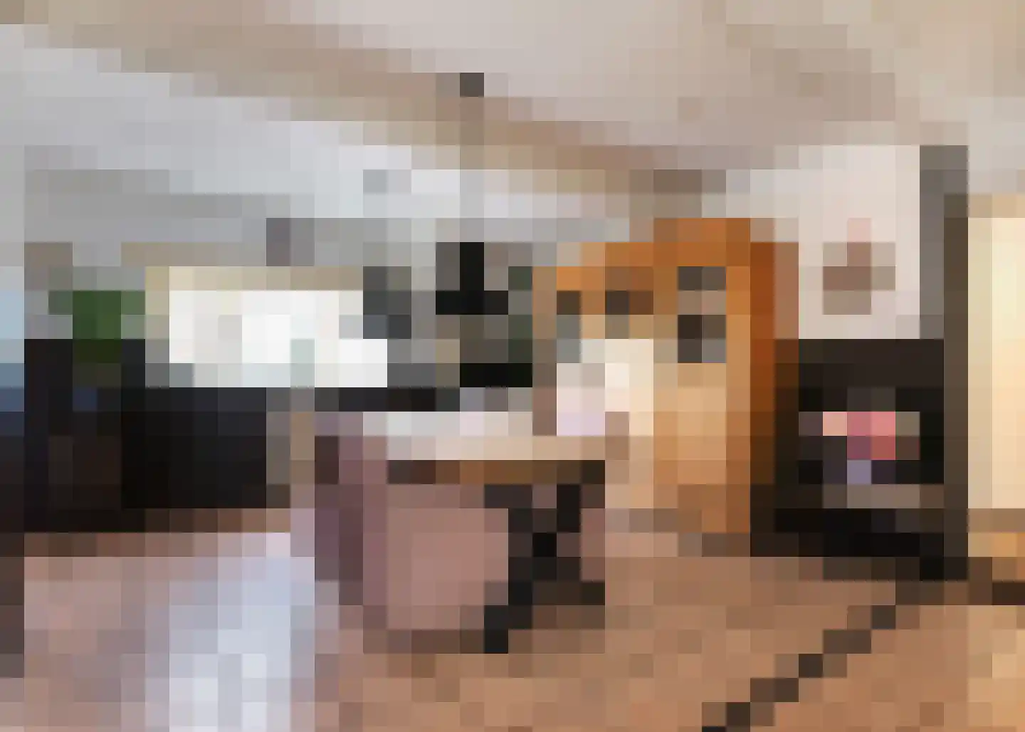 Rijksweg 10 Burgerbrug thumbnail 13