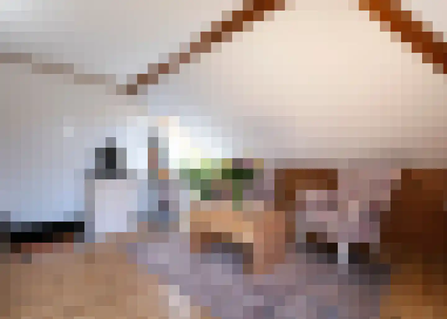 Rijksweg 10 Burgerbrug thumbnail 27