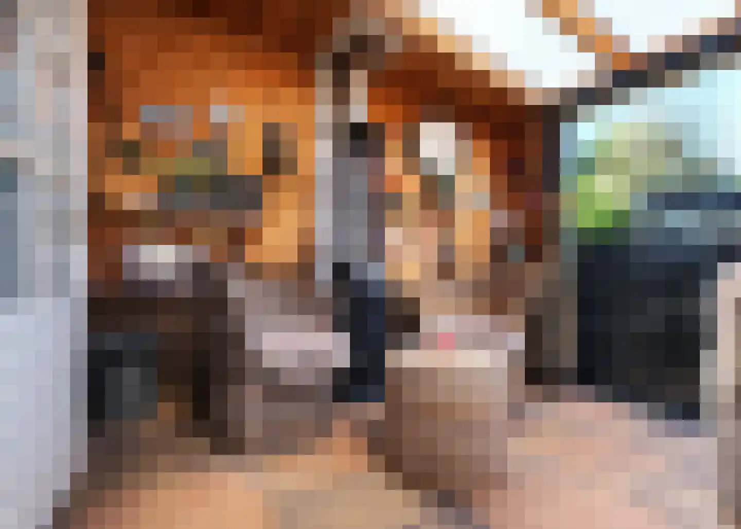 Rijksweg 10 Burgerbrug thumbnail 54