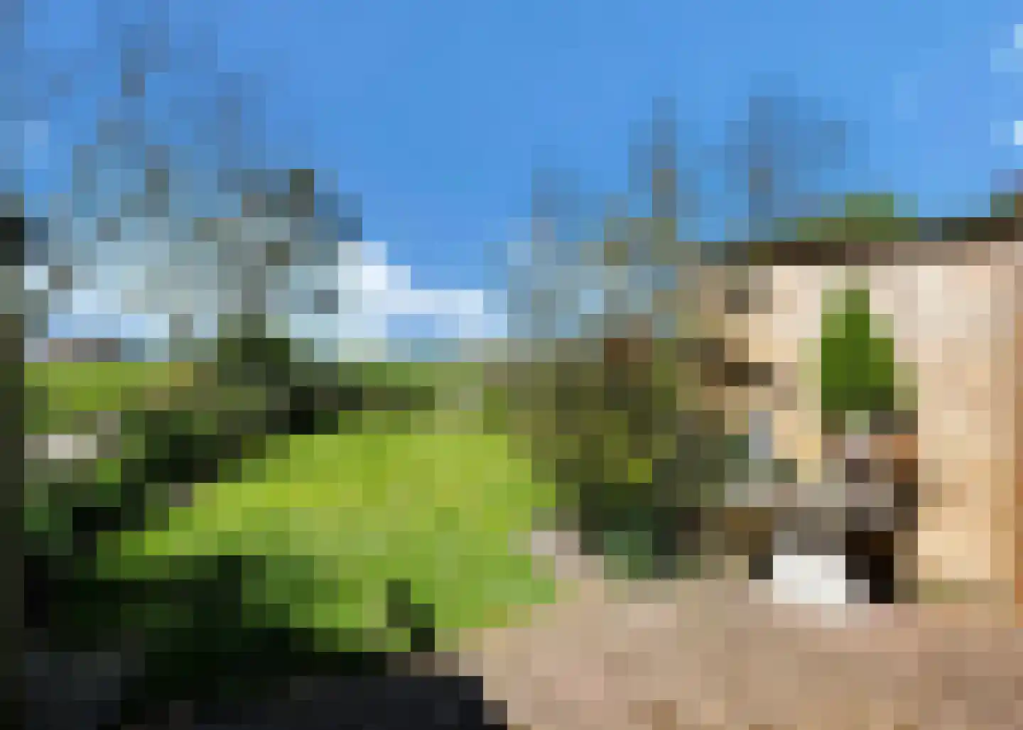 Rijksweg 10 Burgerbrug thumbnail 58