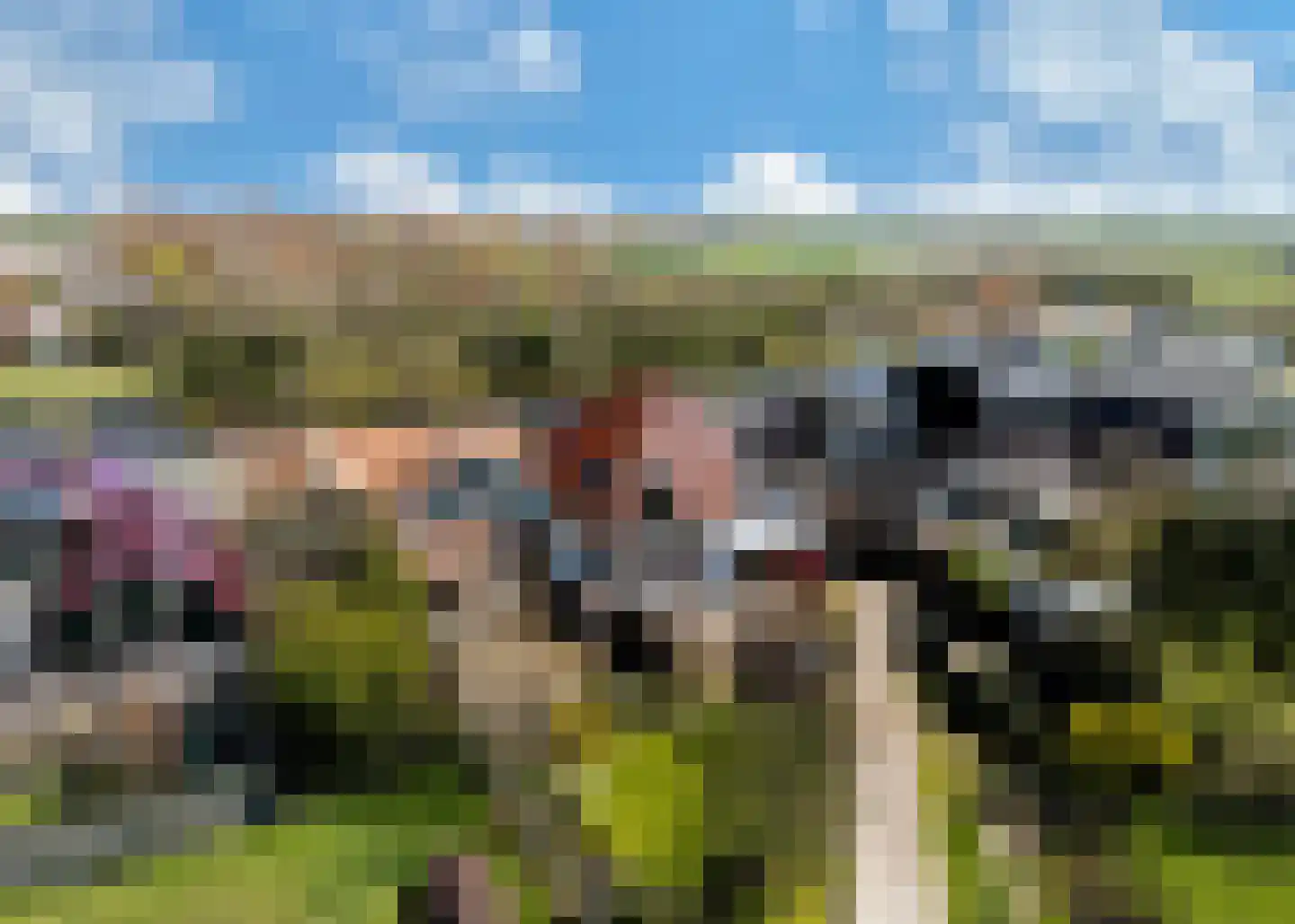 Rijksweg 10 Burgerbrug thumbnail 63
