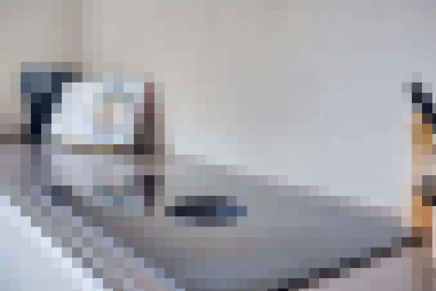 Rijksweg 10 C Cadier en Keer thumbnail 17
