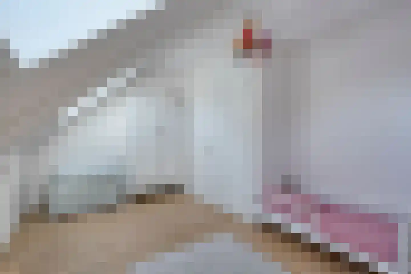 Rijksweg 10 C Cadier en Keer thumbnail 34