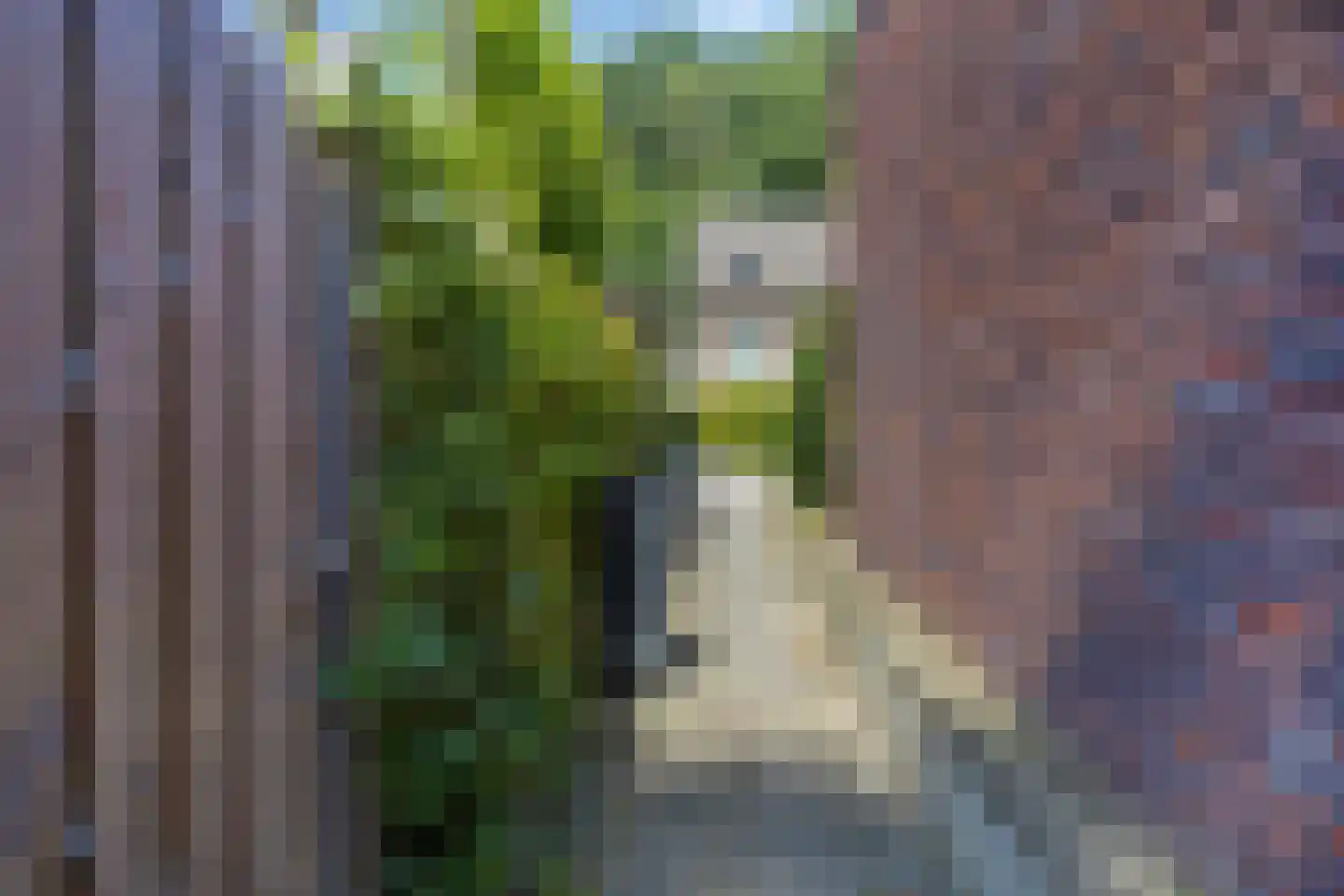 Rijksweg 10 C Cadier en Keer thumbnail 43