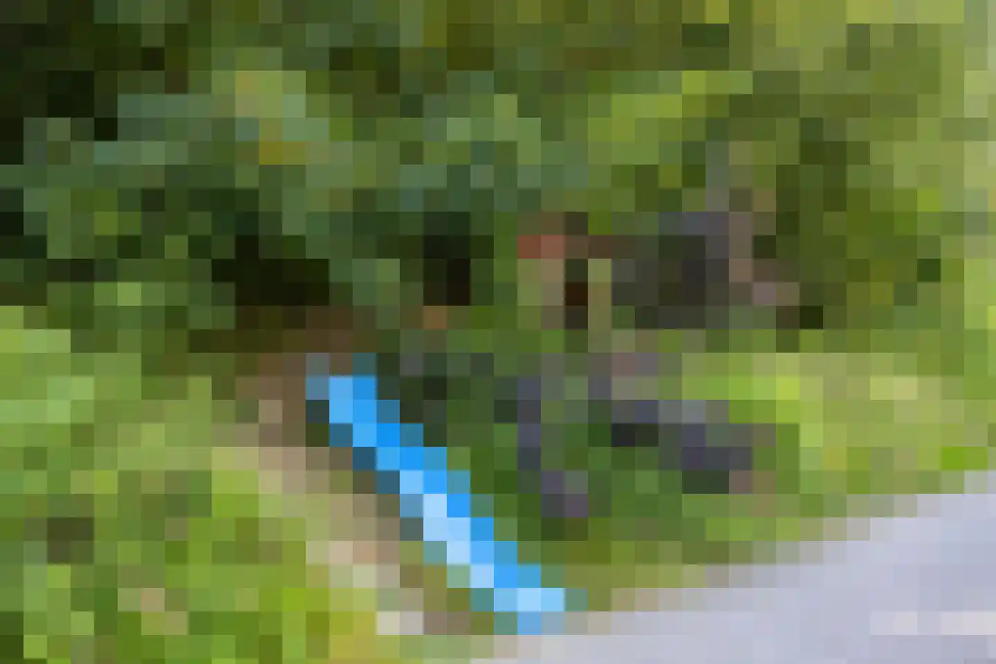 Rijksweg 10 C Cadier en Keer thumbnail 45