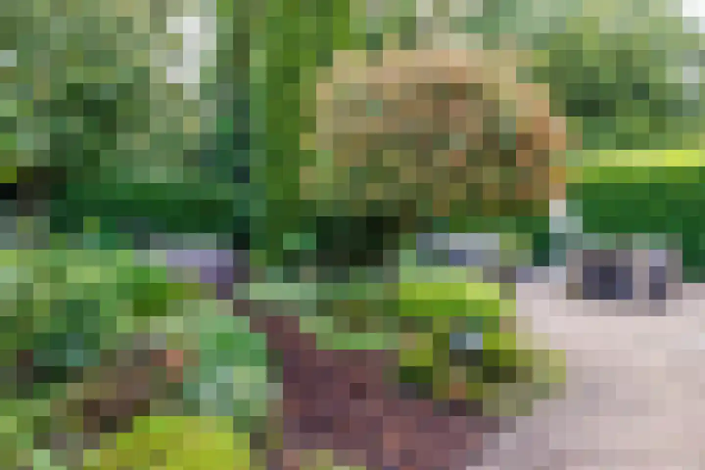 Rijksweg 10 Milsbeek thumbnail 54