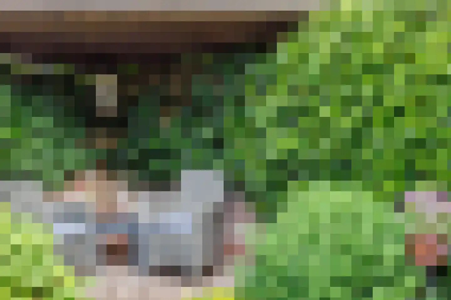 Rijksweg 10 Milsbeek thumbnail 55