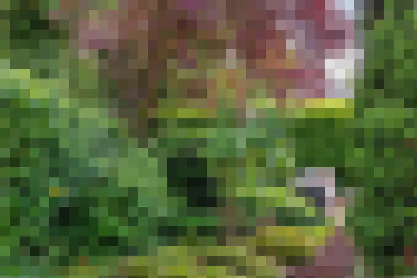 Rijksweg 10 Milsbeek thumbnail 56