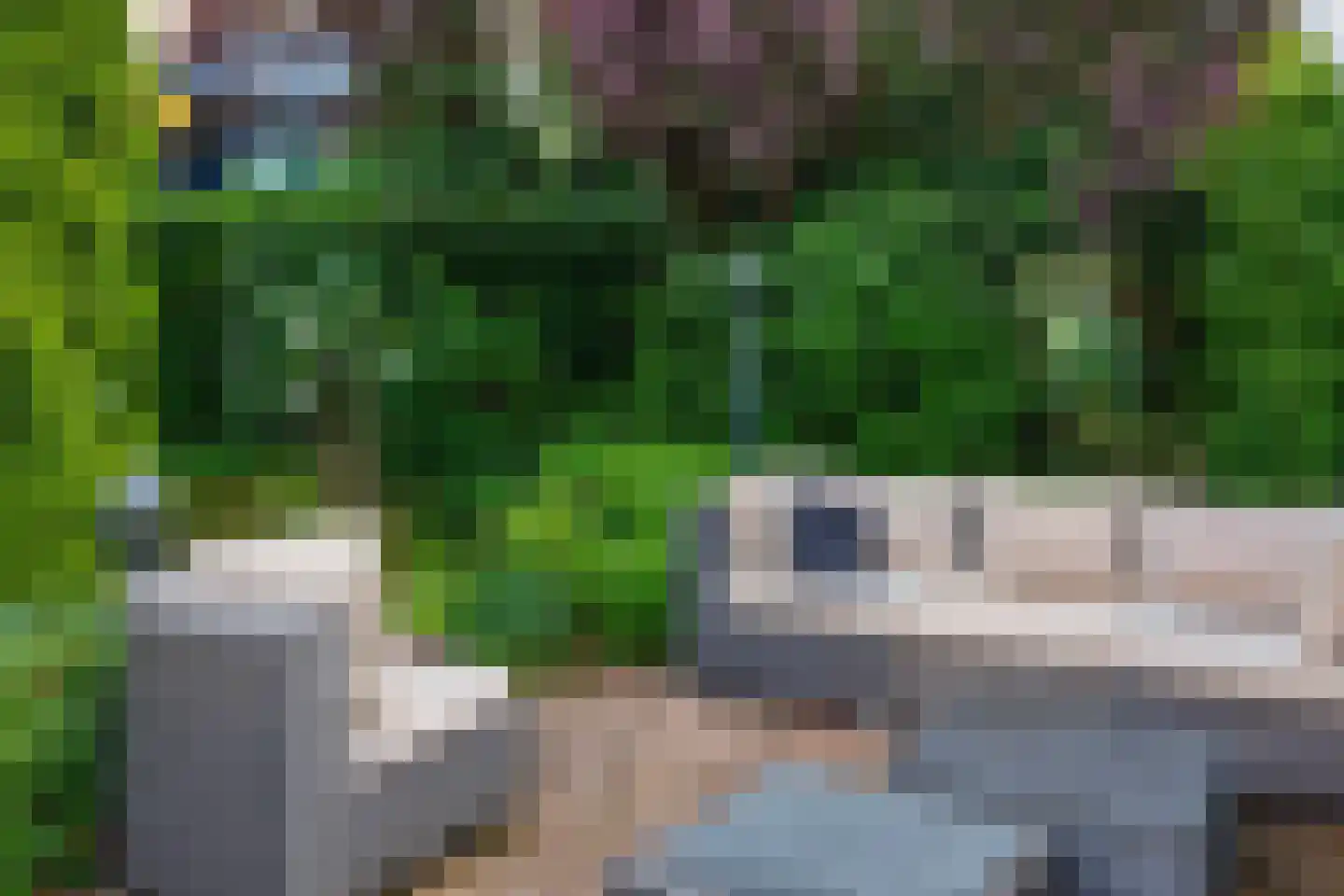 Rijksweg 10 Milsbeek thumbnail 58