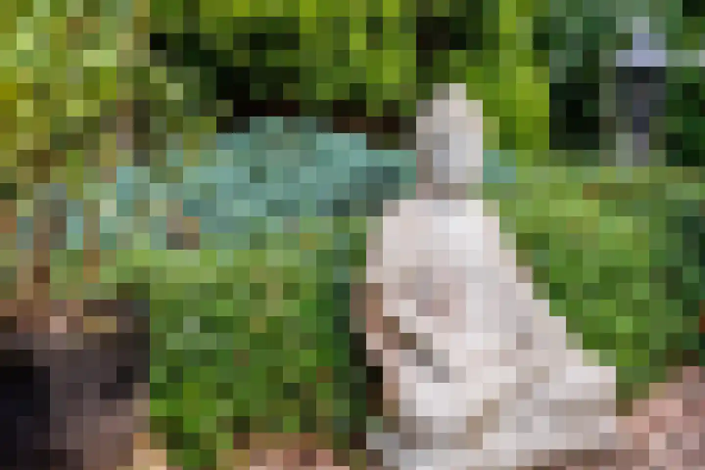 Rijksweg 10 Milsbeek thumbnail 59
