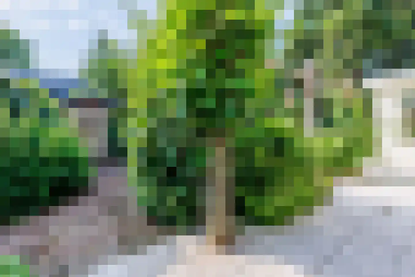 Rijksweg 10 Milsbeek thumbnail 61