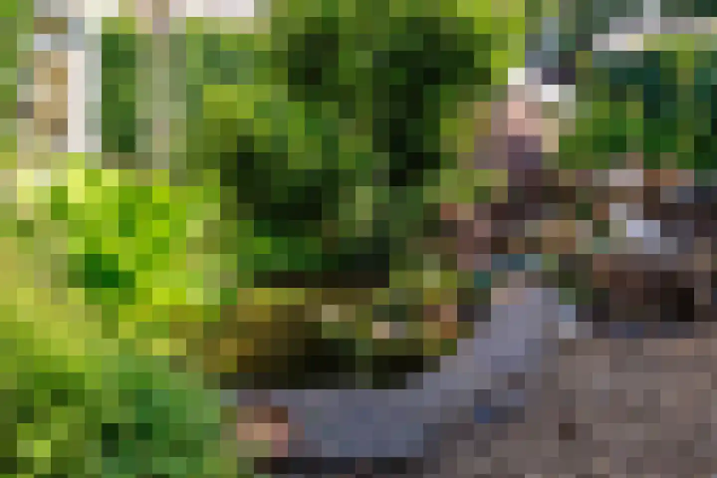 Rijksweg 10 Milsbeek thumbnail 62