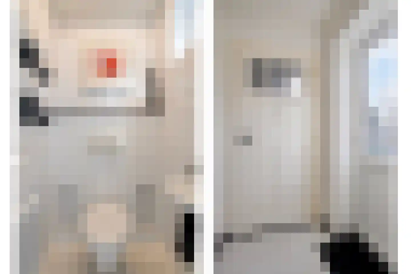 Rijksweg 10 Wittem thumbnail 14