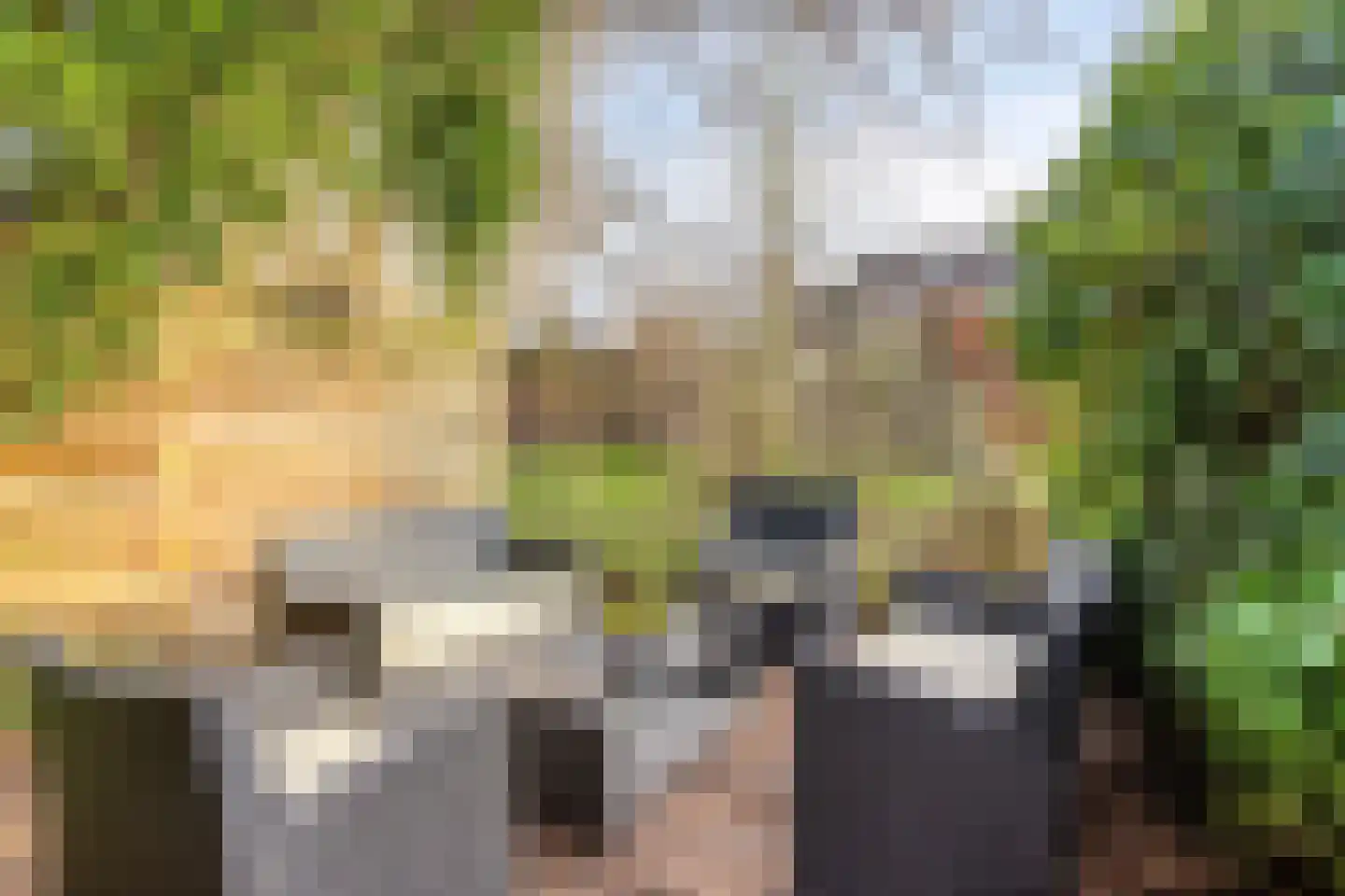 Rijksweg 10 Wittem thumbnail 34