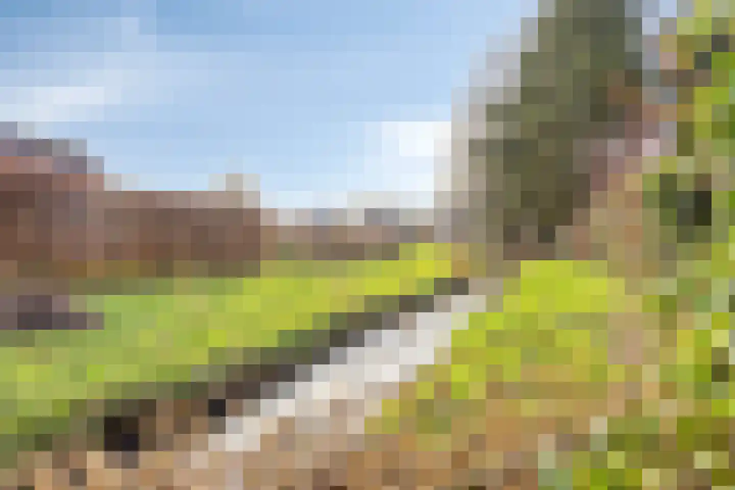 Rijksweg 10 Wittem thumbnail 35