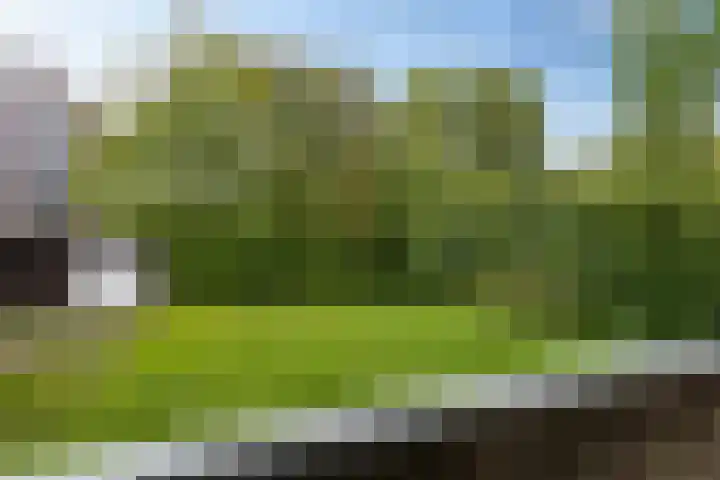 Rijksweg 101 Delfzijl thumbnail 29
