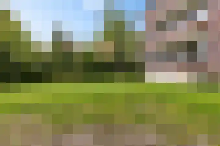 Rijksweg 101 Delfzijl thumbnail 34