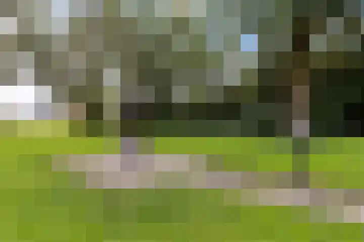 Rijksweg 101 Delfzijl thumbnail 44