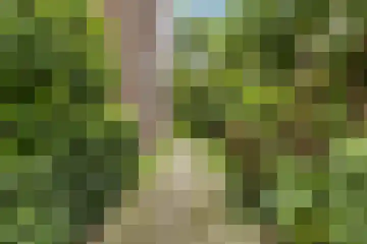 Rijksweg 101 Delfzijl thumbnail 6