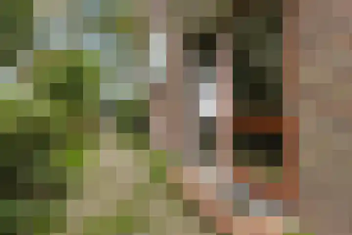 Rijksweg 101 Delfzijl thumbnail 7