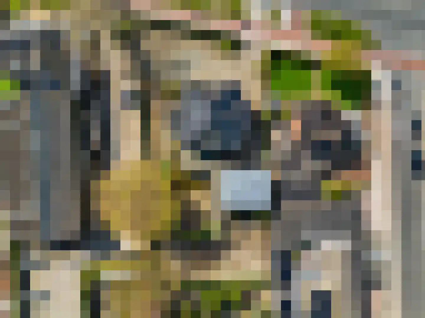 Rijksweg 102 Limmen thumbnail 107