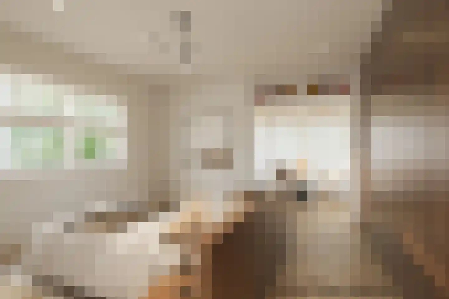 Rijksweg 102 Limmen thumbnail 51