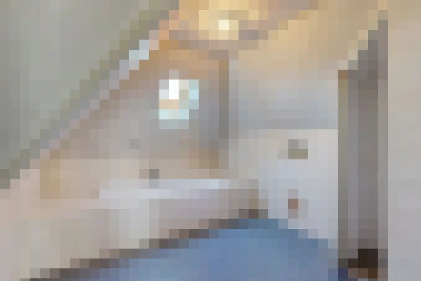 Rijksweg 102 Limmen thumbnail 68