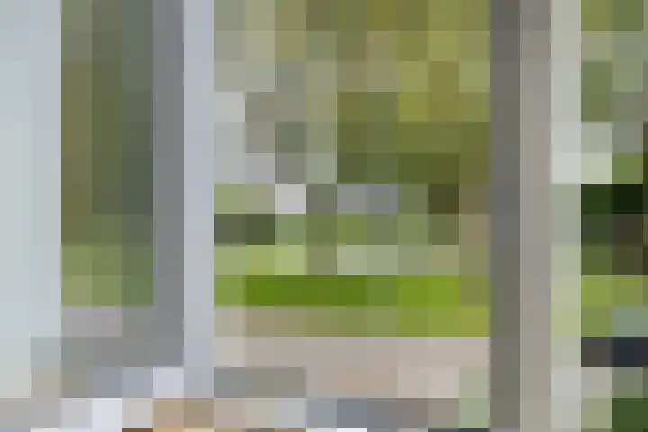 Rijksweg 103 A Delfzijl thumbnail 15