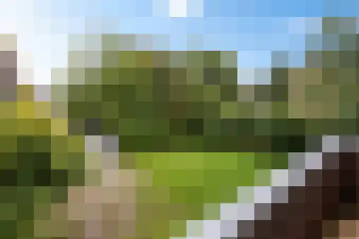 Rijksweg 103 A Delfzijl thumbnail 31