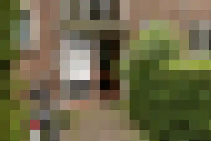 Rijksweg 103 A Delfzijl thumbnail 6