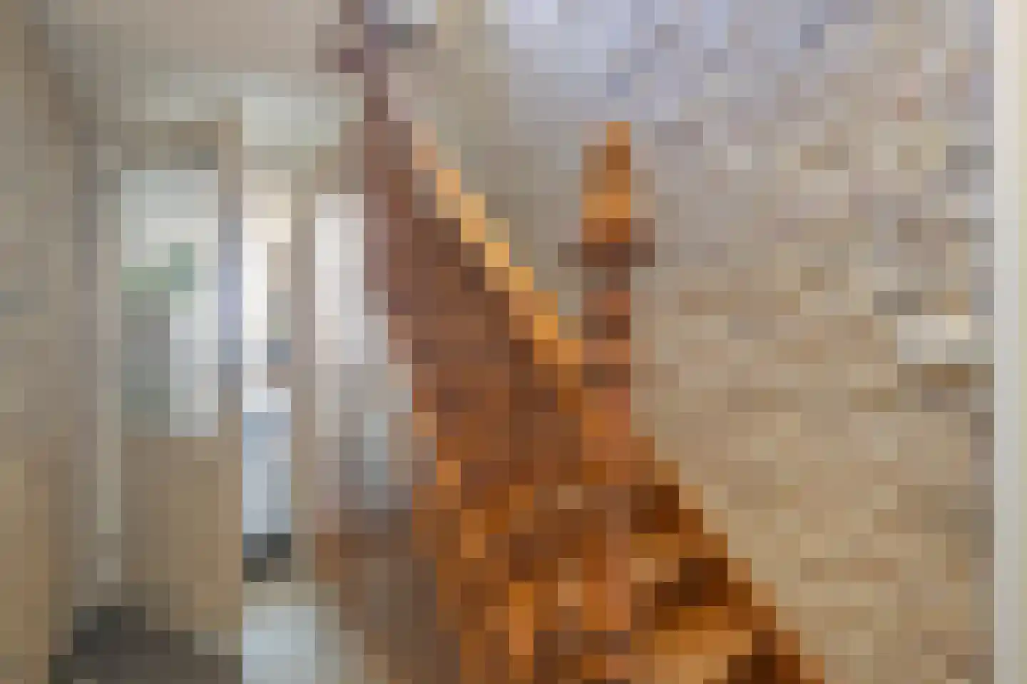 Rijksweg 105 Gronsveld thumbnail 22