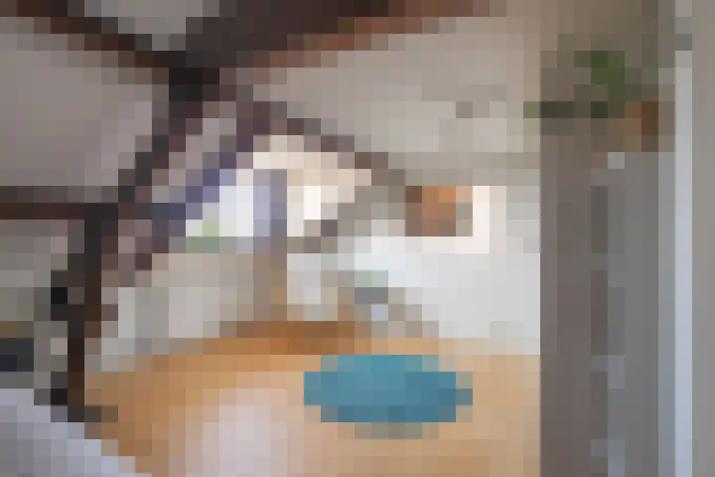 Rijksweg 105 Gronsveld thumbnail 29