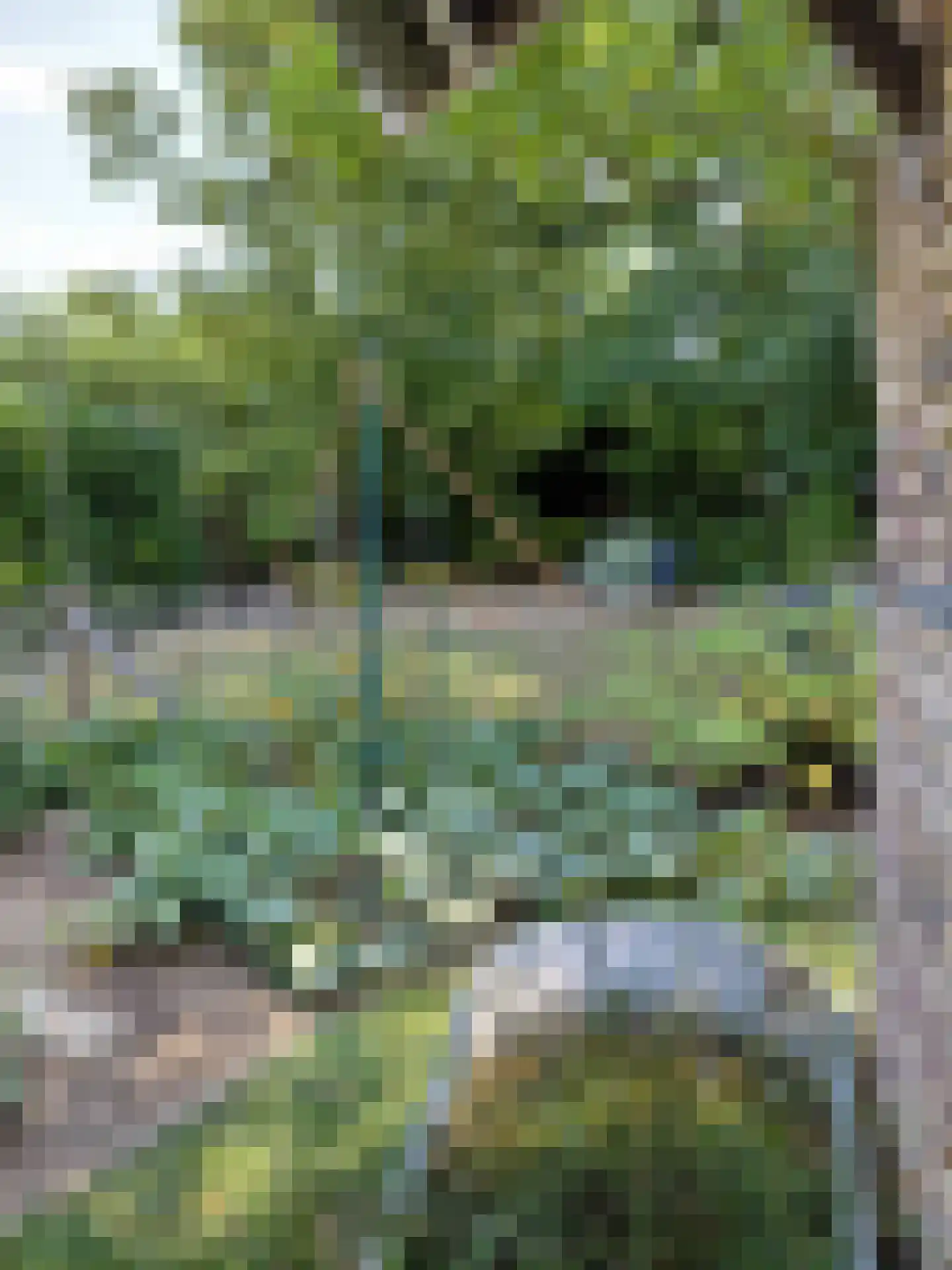 Rijksweg 105 Gronsveld thumbnail 37
